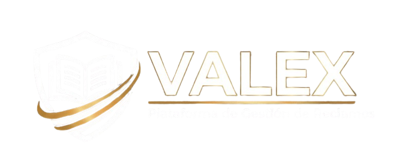 VALEX Logo